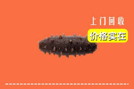 诚信求购:曲靖市富源高价回收海参
