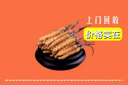 诚信求购:曲靖市富源高价回收冬虫夏草