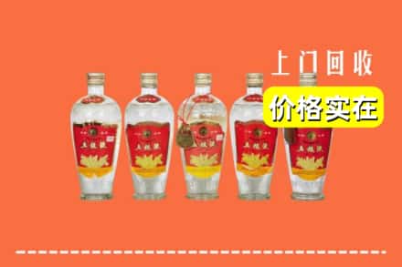 曲靖市富源回收老五粮液